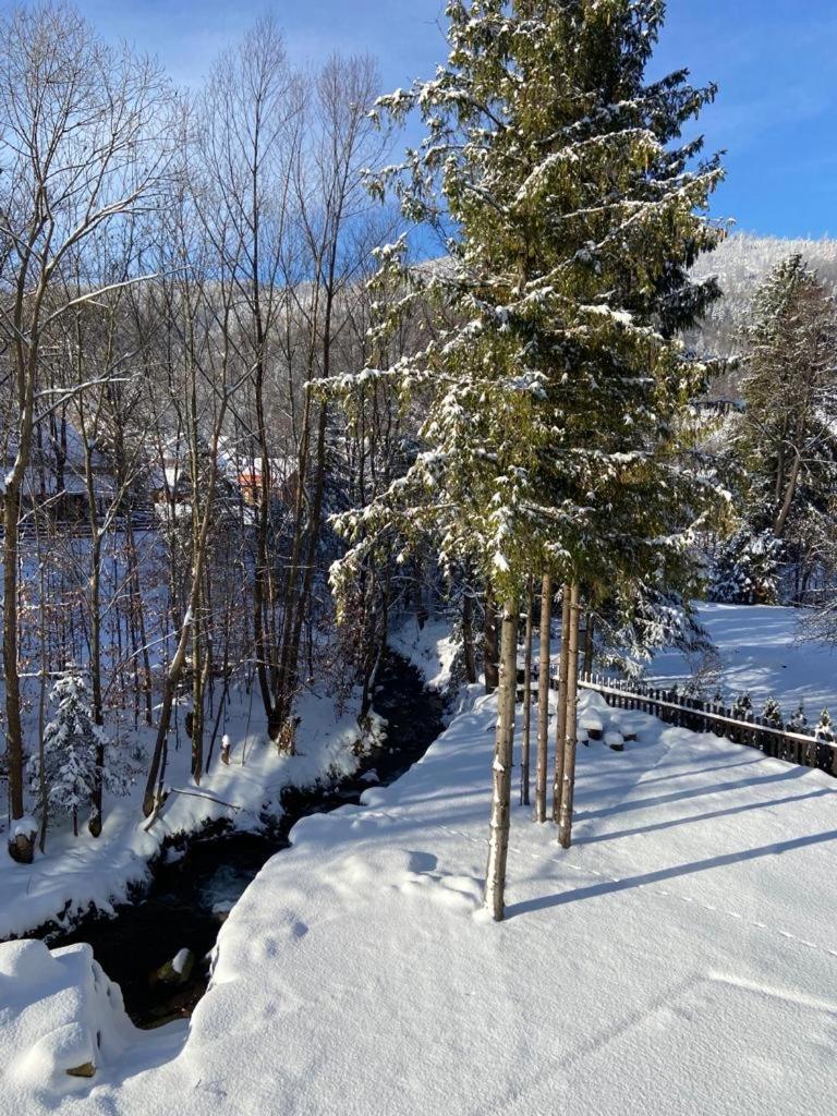 Kaskada Apartments & Sauna Na Wylacznosc Щирк Екстериор снимка